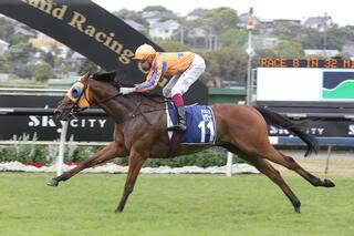  Prise De Fer (NZ) (Savabeel) dominated the Group Two Rich Hill Mile (1600m).